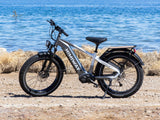 Himiway D5 Pro 500W Mid-Drive All-Terrain Fat Tire Electric Bike