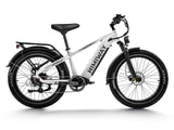 Himiway D5 (Zebra) 750W All-Terrain Fat Tire Electric Bike