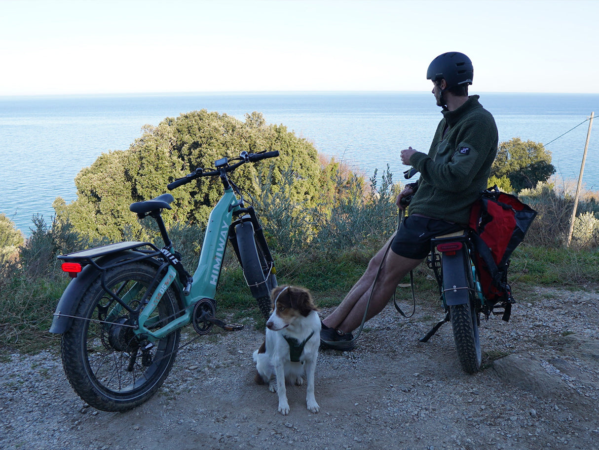Himiway D5 ST (Zebra ST) 750W All-Terrain Step-Thru Fat Tire Electric Bike