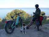Himiway D5 ST (Zebra ST) 750W All-Terrain Step-Thru Fat Tire Electric Bike