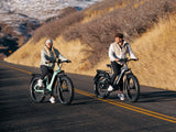 Himiway D5 (Zebra) 750W All-Terrain Fat Tire Electric Bike