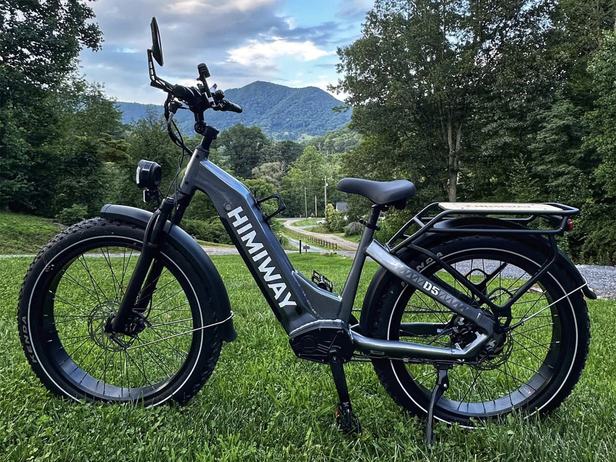 Himiway D5 ST (Zebra ST) 750W All-Terrain Step-Thru Fat Tire Electric Bike