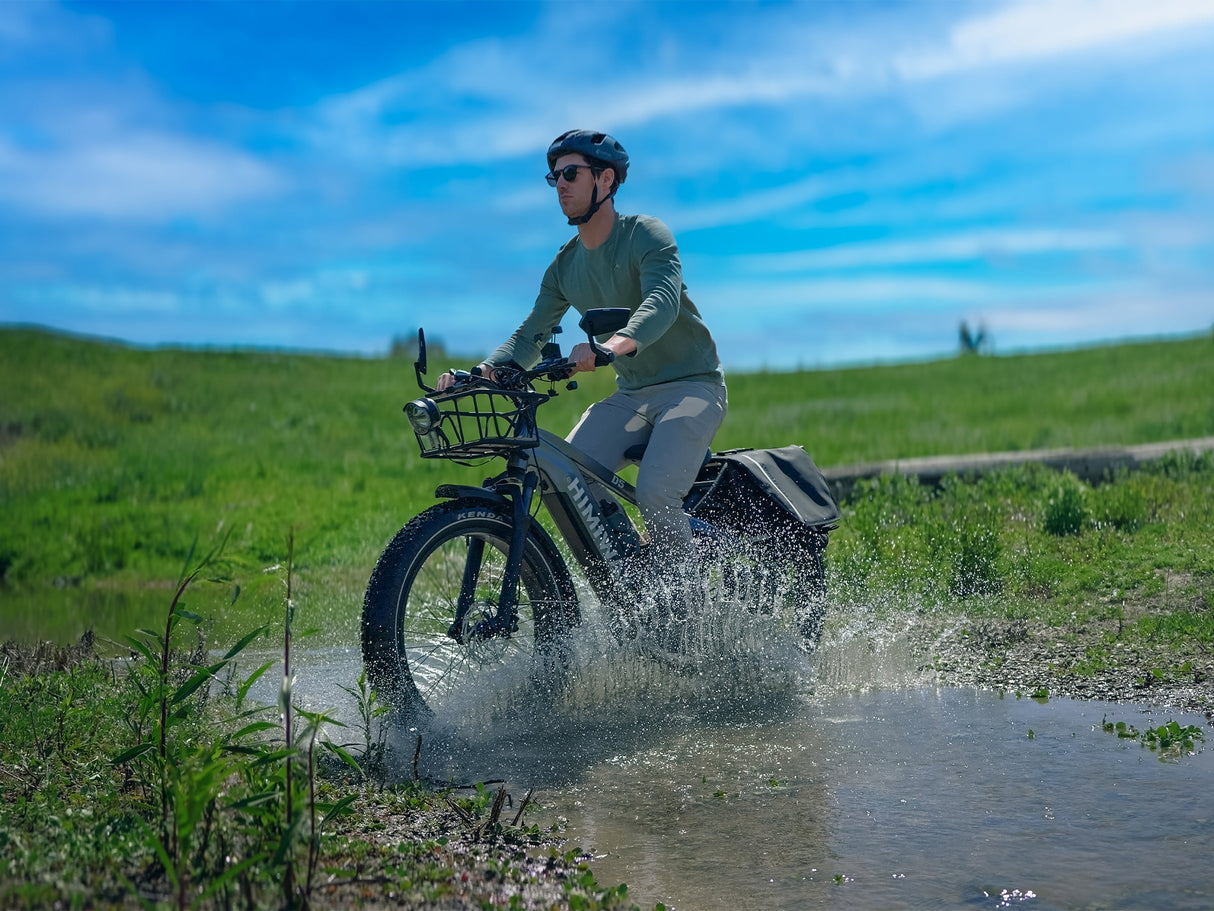 Himiway D5 (Zebra) 750W All-Terrain Fat Tire Electric Bike