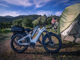 Himiway D5 (Zebra) 750W All-Terrain Fat Tire Electric Bike