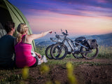 Himiway D5 ST (Zebra ST) 750W All-Terrain Step-Thru Fat Tire Electric Bike