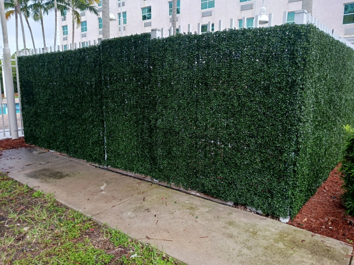 Designer Plants USA Dark Artificial Boxwood Wall 40" x 40" 11SQ FT Commercial Grade UV Resistant