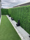 Designer Plants USA Premium Bright Artificial Boxwood Wall 40" x 40" Commercial Grade
