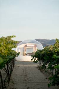 Domespaces Bubble Domes RD Series Stylish Outdoor Living