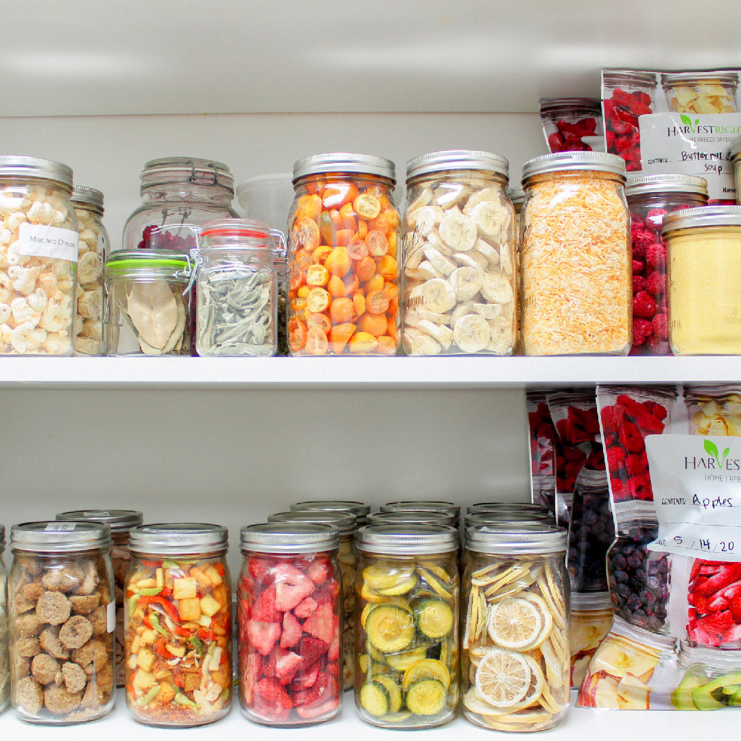 Harvest Right Large Home Pro Freeze Dryer with Oil Free Vacuum Pump, 6 Trays and Mylar Starter Kit in Black