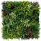 Designer Plants USA Evergreen Triptych Vertical Garden Wall Set 3 Pieces UV Resistant