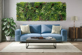 Designer Plants USA Evergreen Triptych Vertical Garden Wall Set 3 Pieces UV Resistant