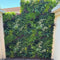Designer Plants USA Evergreen Triptych Vertical Garden Wall Set 3 Pieces UV Resistant