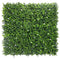 Designer Plants USA White Flowering Artificial Boxwood Wall 40" x 40" Commercial Grade