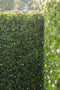 Designer Plants USA White Flowering Artificial Boxwood Wall 40" x 40" Commercial Grade