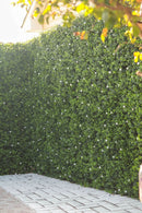 Designer Plants USA White Flowering Artificial Boxwood Wall 40" x 40" Commercial Grade