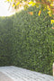 Designer Plants USA White Flowering Artificial Boxwood Wall 40" x 40" Commercial Grade
