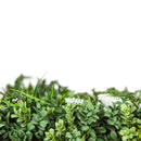 Designer Plants USA Garden of Eden 40"x40" Metal-Backed UV Fire-Resistant Green Wall