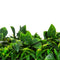 Designer Plants USA Luxury Pink Sensation Artificial Green Wall 40" x 40" Commercial Grade