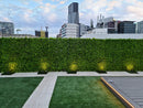 Designer Plants USA Lush Fern Artificial Green Wall 40" x 40" 11SQ FT Commercial Grade UV Resistant