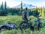 Himiway D5 ST Camo 2.0 Electric Bike