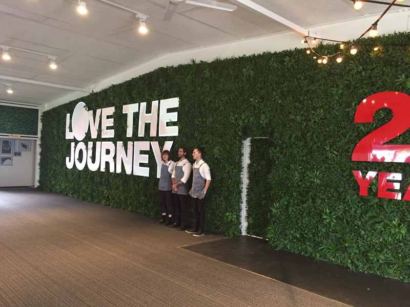 Designer Plants USA Luxury Green Tropics Artificial Living Wall 40x40 Commercial Grade