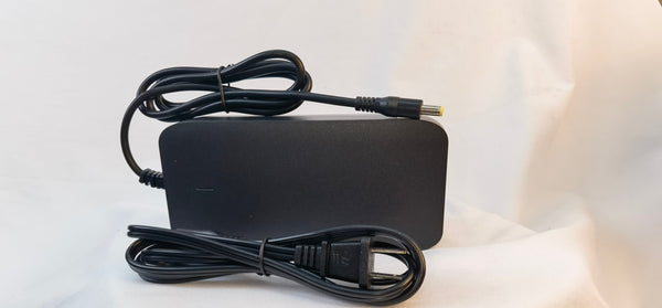 Electric Bike Charger FOR SMARTRAVEL DK400