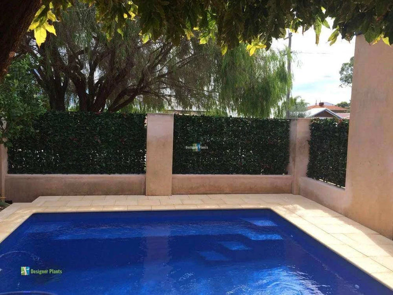 Designer Plants USA Artificial Photinia Hedge Panel 40 x 40 Commercial Grade UV Resistant
