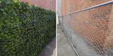 Designer Plants USA Artificial Boston Ivy Green Wall 33SQ FT Commercial Grade UV Resistant