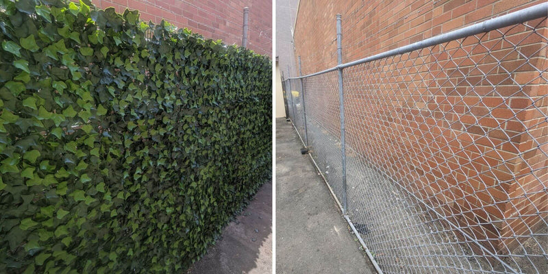 Designer Plants USA Artificial Boston Ivy Green Wall 40 x 40 Commercial Grade UV Resistant