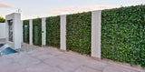 Designer Plants USA Artificial Boston Ivy Green Wall 33SQ FT Commercial Grade UV Resistant