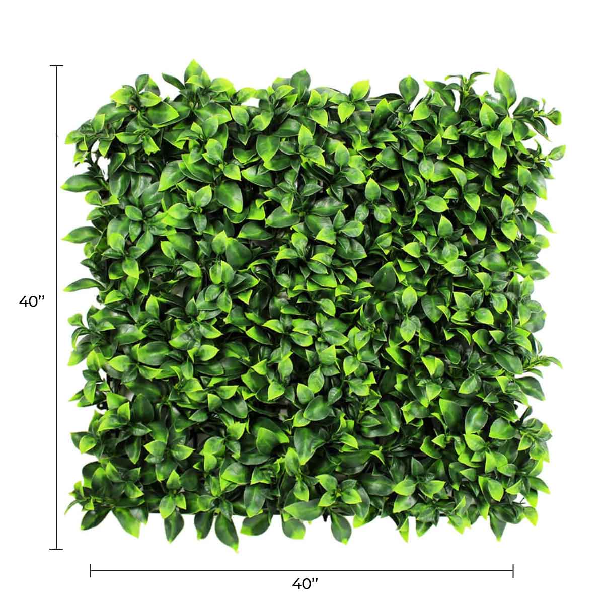 Designer Plants USA Jasmine Artificial Green Wall 40" x 40" Commercial Grade UV Resistant
