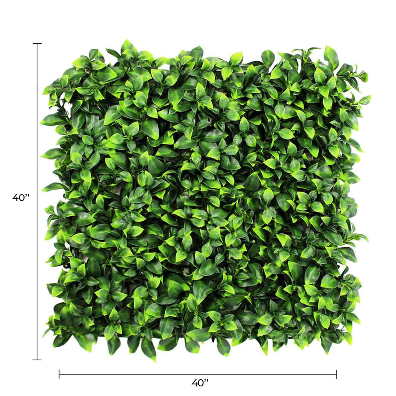 Designer Plants USA Jasmine Artificial Green Wall 40" x 40" Commercial Grade UV Resistant
