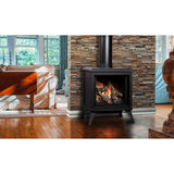 Kingsman FDV200S 23" Millivolt Natural Gas Freestanding Direct Vent Stove