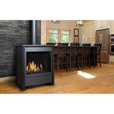 Kingsman FDV451 27" Millivolt Natural Gas Freestanding Direct Vent Stove