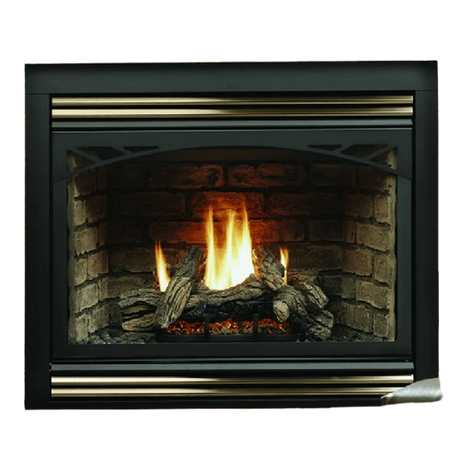 Kingsman HBZDV4224 42 Inch Zero Clearance Direct Vent Gas Fireplace in Millivolt Ignition Front View