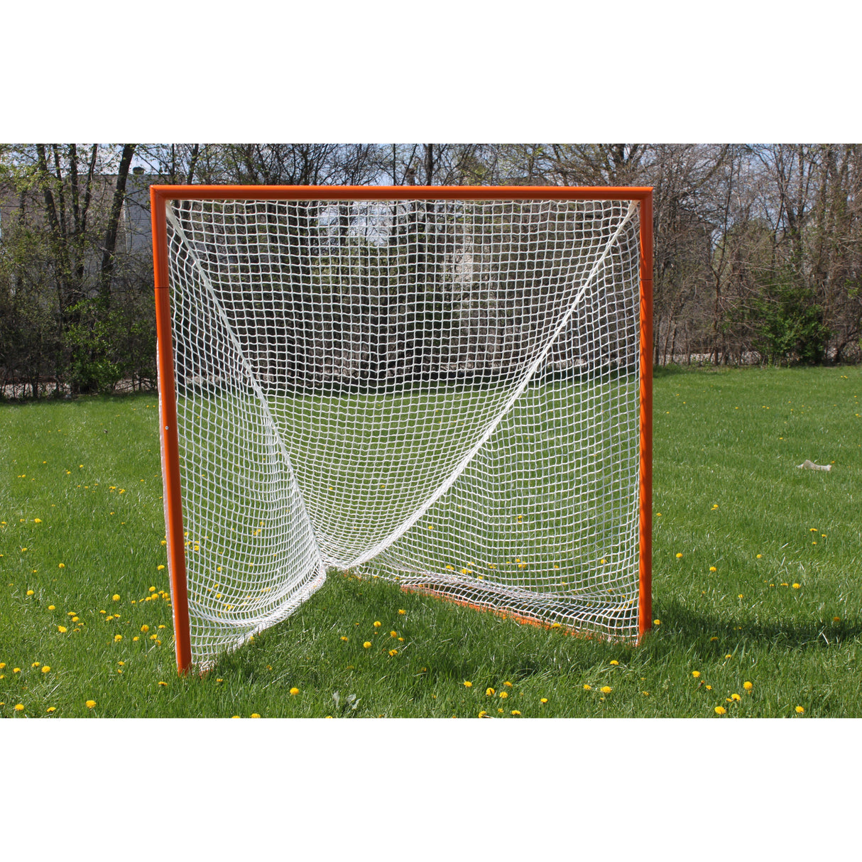 Gared Slingshot Premium Lacrosse Goal 6′ × 6′ Heavy-Duty Steel Frame LG200