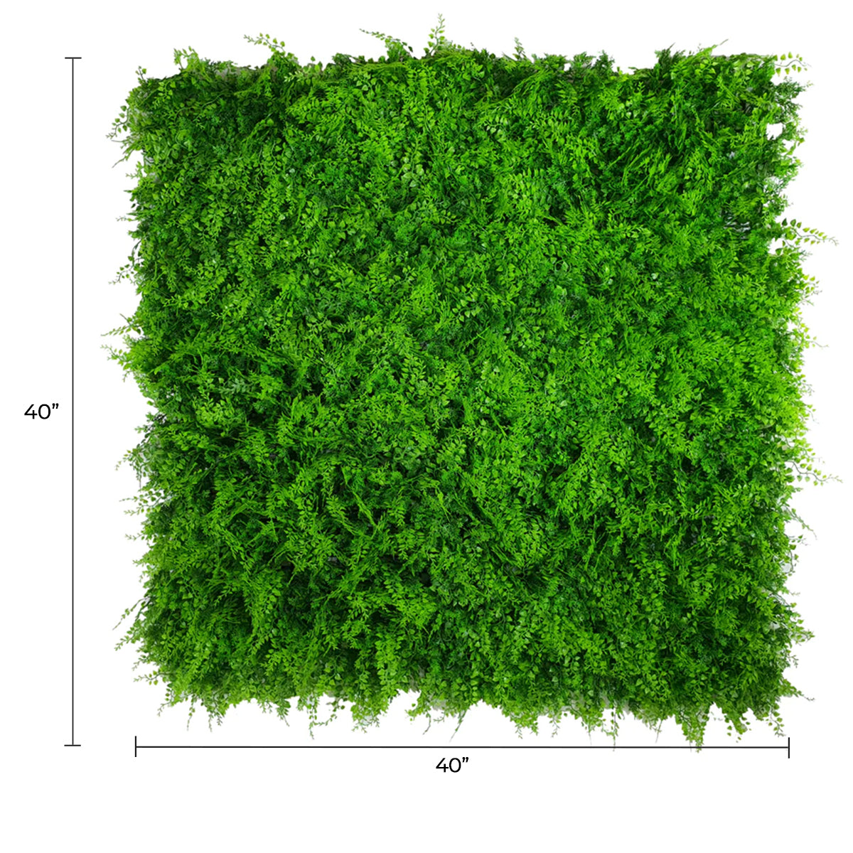 Designer Plants USA Lush Fern Artificial Green Wall 40" x 40" 11SQ FT Commercial Grade UV Resistant