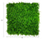 Designer Plants USA Lush Fern Artificial Green Wall 40" x 40" 11SQ FT Commercial Grade UV Resistant