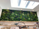 Designer Plants USA Evergreen Triptych Vertical Garden Wall Set 3 Pieces UV Resistant