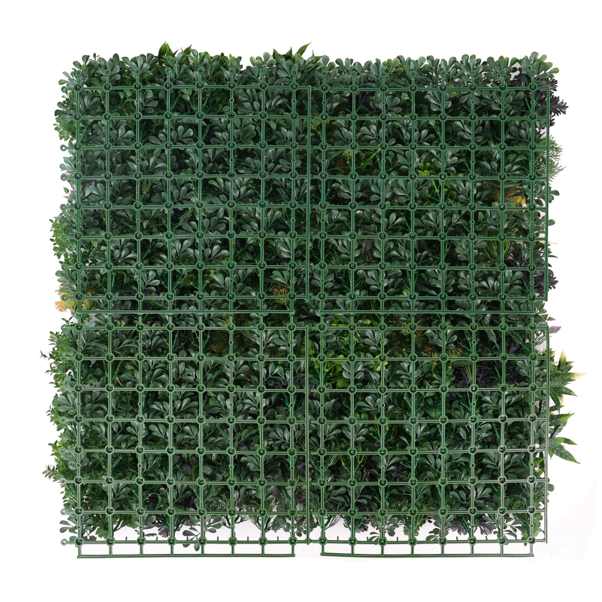 Designer Plants USA Ultra Luxury Floral Fusion Vertical Garden 40" x 40" Commercial Grade