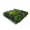 Designer Plants USA Ultra Luxury Floral Fusion Vertical Garden 40" x 40" Commercial Grade