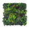 Designer Plants USA Ultra Luxury Floral Fusion Vertical Garden 40" x 40" Commercial Grade