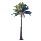 Designer Plants USA Tall Artificial Florida Palm Tree (13ft To 23ft) UV Resistant