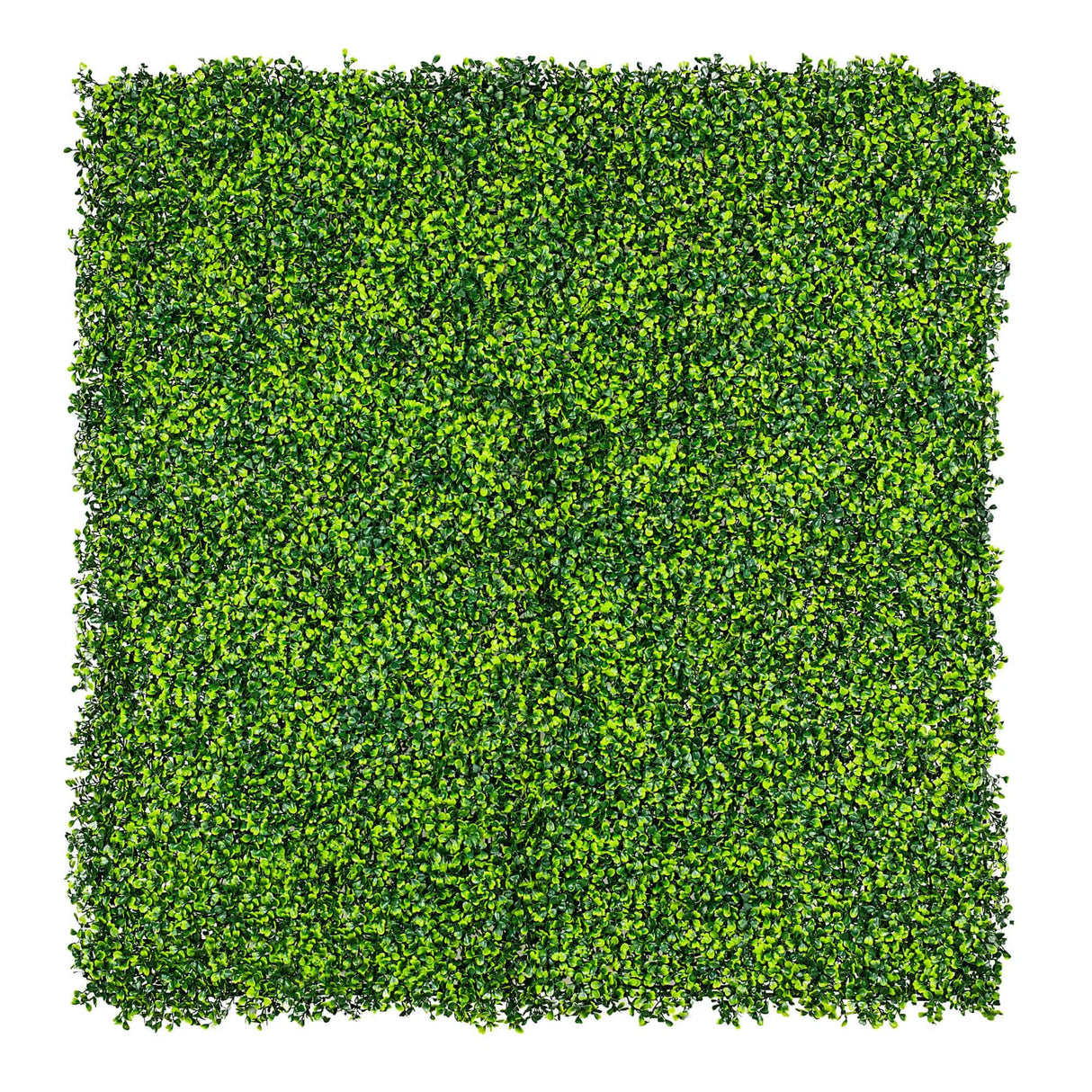 Designer Plants USA Artificial Mixed Boxwood Hedge Panel Wall 40" x 40" Commercial Grade