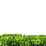 Designer Plants USA Artificial Mixed Boxwood Hedge Panel Wall 40" x 40" Commercial Grade