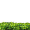 Designer Plants USA Artificial Mixed Boxwood Hedge Panel Wall 40" x 40" Commercial Grade