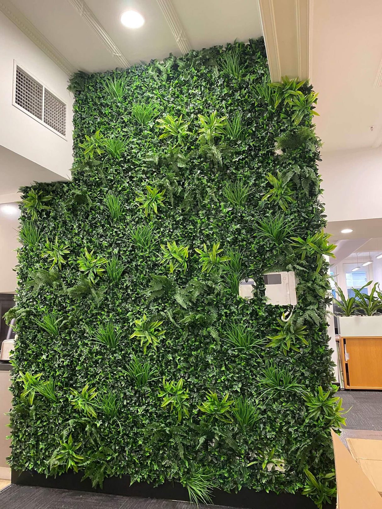 Designer Plants USA Luxury Green Tropics Artificial Living Wall 40x40 Commercial Grade