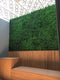 Designer Plants USA Premium Bright Artificial Boxwood Wall 40" x 40" Commercial Grade