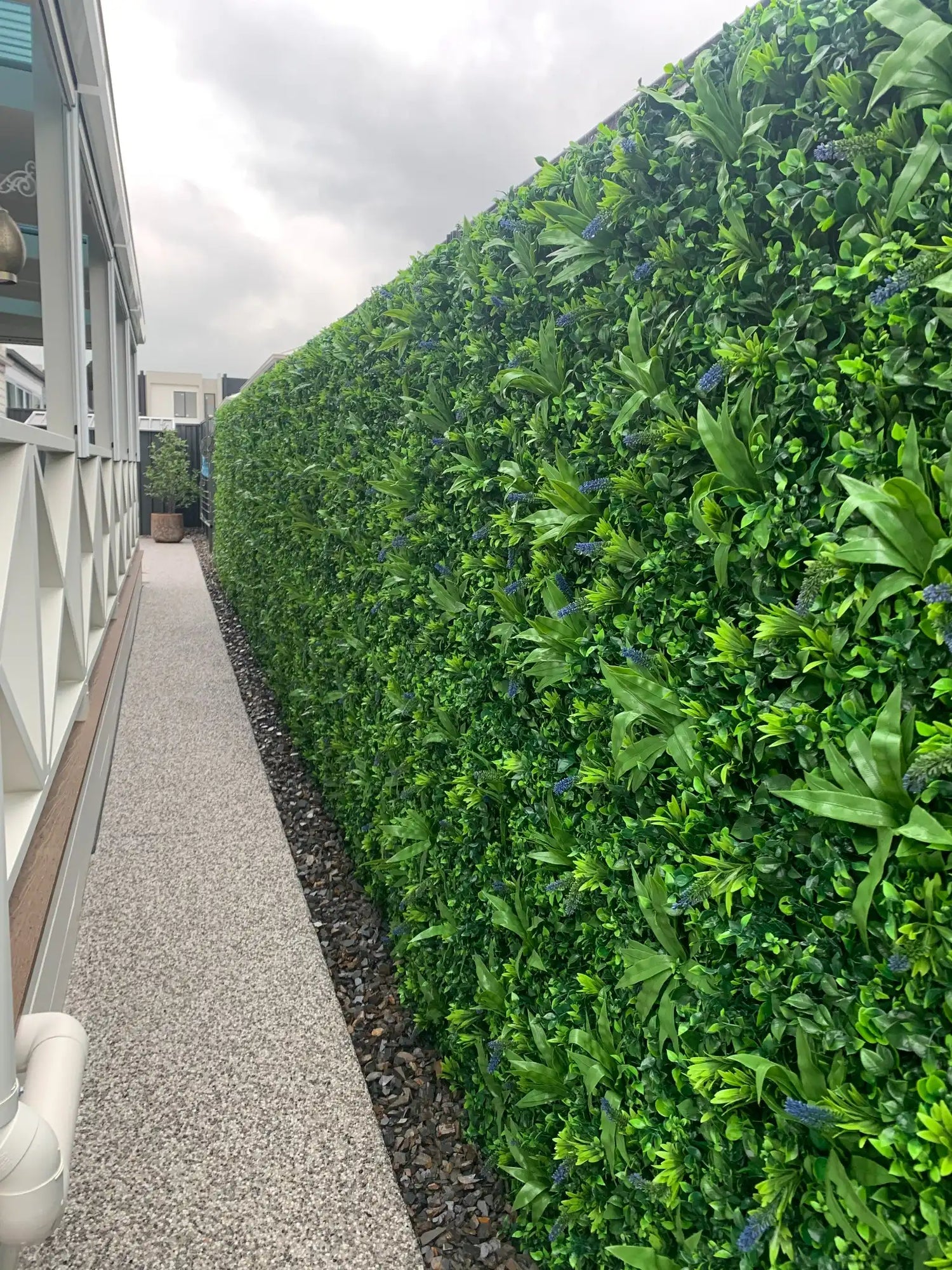 Designer Plants USA Luxury Lavender Fields Artificial Green Wall 40 x 40 Commercial Grade