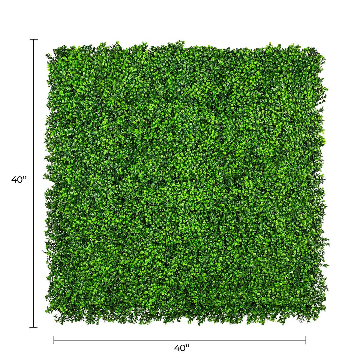 Designer Plants USA Premium Bright Artificial Boxwood Wall 40" x 40" Commercial Grade